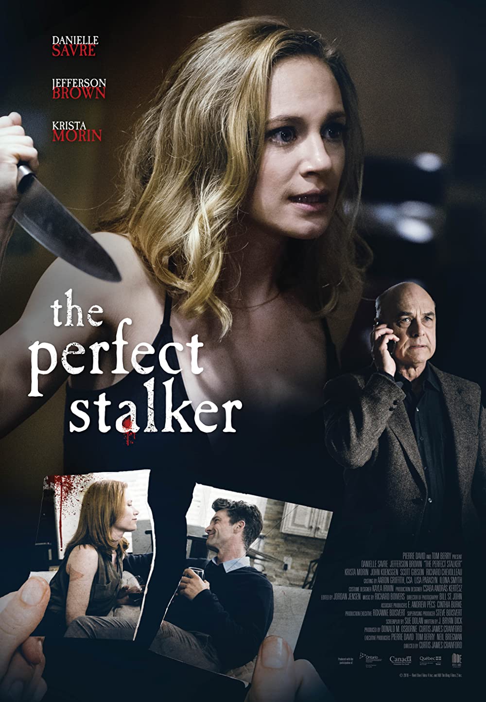 Stiahni si Filmy CZ/SK dabing  Perfektni stalker / The Perfect Stalker (2016)(CZ)[TvRip][1080p]