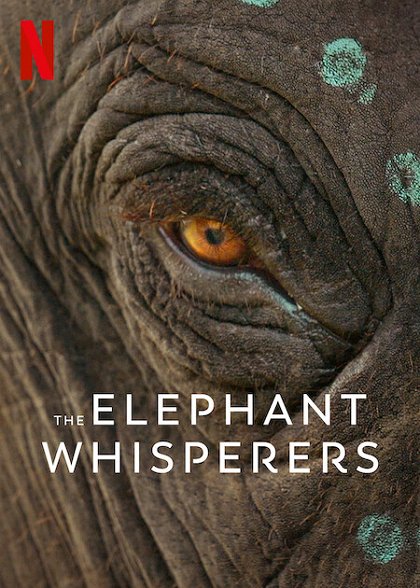 Stiahni si Dokument  Zarikavaci slonu / The Elephant Whisperers (2022)(CZ)[WebRip][1080p]