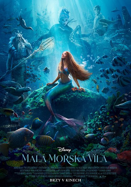 Stiahni si Filmy CZ/SK dabing  Malá mořská víla / The Little Mermaid (2023)(CZ/SK/EN)[WEB-DL][1080p] = CSFD 37%
