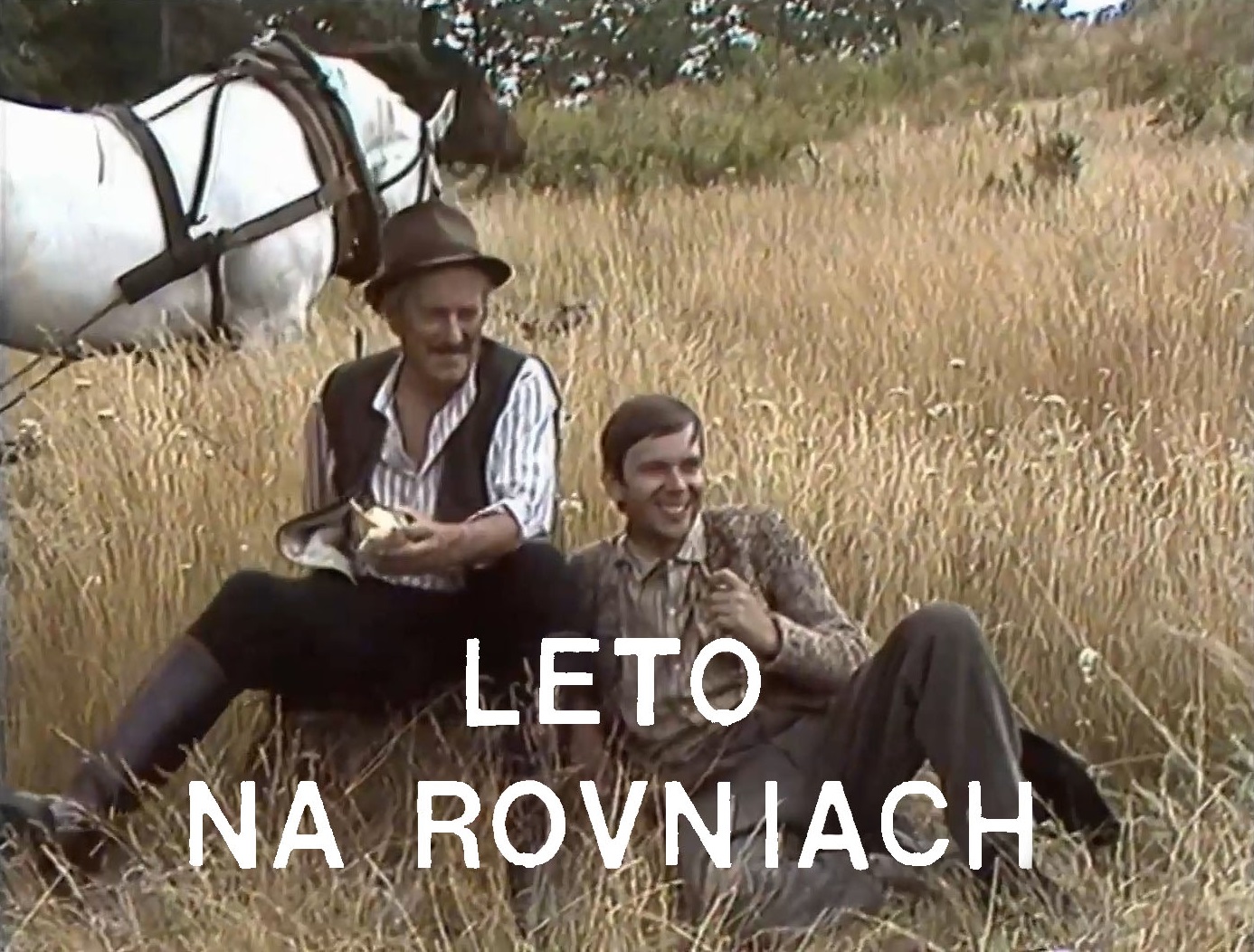 Stiahni si Filmy CZ/SK dabing Leto na rovniach (1977)(SK)[TvRip] = CSFD 55%