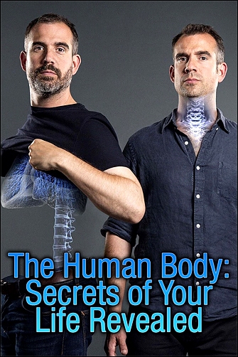 Stiahni si Dokument Záhady lidského těla / The Human Body: Secrets of Your Life Revealed (2017)(CZ)[TvRip] = CSFD 77%