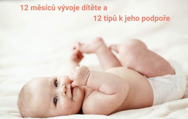 Stiahni si Knihy a Časopisy 12 měsíců vývoje dítěte a 12 tipů k jeho podpoře [PDF]