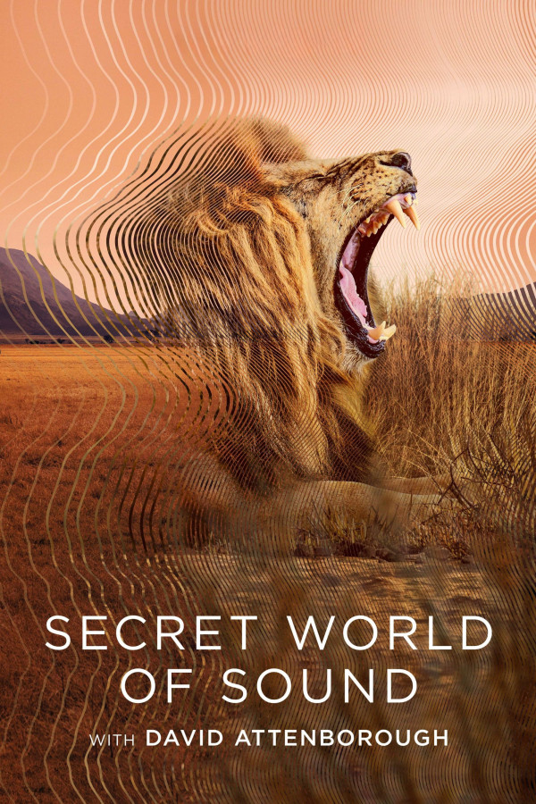 Stiahni si Dokument Tajuplný svět zvuků s Davidem Attenboroughem / Secret World of Sound with David Attenborough (S01)(2024)(HEVC)[4K HDR](CZ/EN)