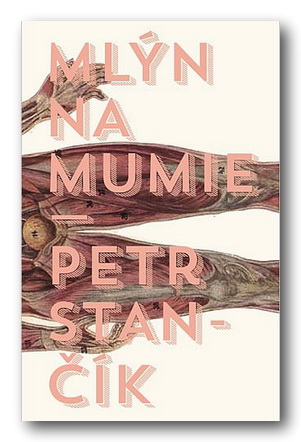 Stiahni si Knihy a Časopisy Petr Stancik - Mlyn na mumie (2013)(CZ)