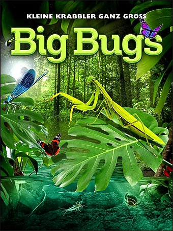 Stiahni si Dokument Hmyz pod lupou / Big Bugs - Kleine Krabbler ganz groß (2012)(CZ)[TvRip][1080p] = CSFD 85%