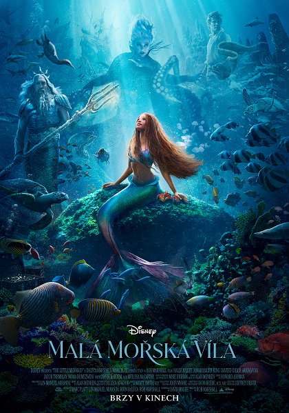 Stiahni si Filmy s titulkama  Malá mořská víla / The Little Mermaid (2023)[2160p][WEB-DL][HDR][HEVC] = CSFD 42%