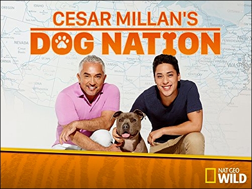 Stiahni si Dokument Psí národ Cesara Millana / Cesar Millan's Dog Nation (2017)(CZ)[TvRip] = CSFD 62%