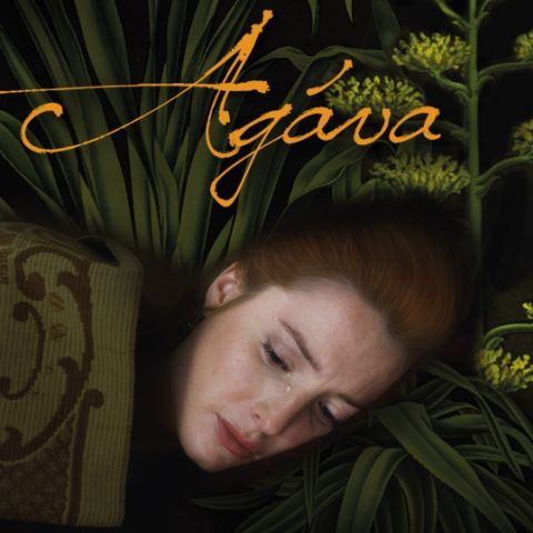 Stiahni si Filmy CZ/SK dabing Agava (2016)(SK)[TVRip][HEVC][720p] = CSFD 44%