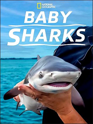 Stiahni si Dokument Žraločí batolata / Baby Sharks (2022)(CZ)[TvRip][1080p] = CSFD 75%