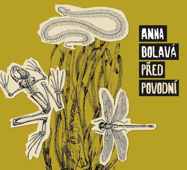 Stiahni si Mluvené slovo Anna Bolava - Pred povodni (2021)(CZ)
