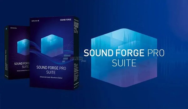 Stiahni si Programy MAGIX Sound Forge Pro Suite 18.0.0.21 (x64)