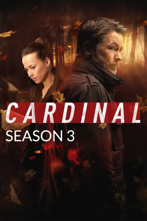 Stiahni si Seriál Cardinal - Sbohem, lásko / By the Time You Read This S03 (CZ/EN)[WEB-DL][1080p] = CSFD 77%