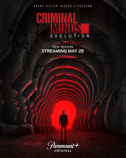 Stiahni si Seriál Myšlenky zločince / Criminal Minds S19E03 (CZ/EN)[1080p][WEB-DL][HEVC] = CSFD 71%