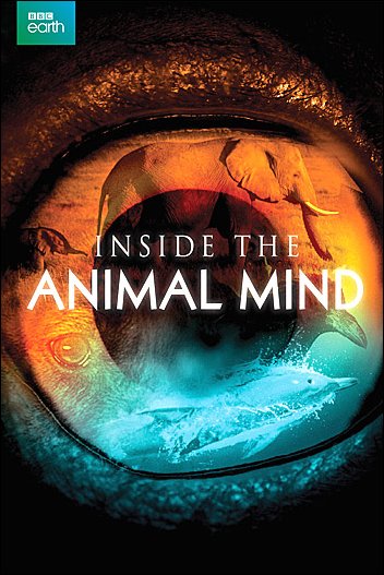 Stiahni si Dokument V mysli zvířete / Inside the Animal Mind (2014)(CZ)[TvRip] = CSFD 82%