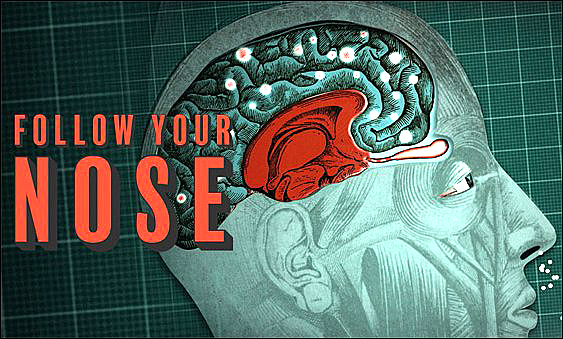 Stiahni si Dokument Tajemství lidského čichu / Der dufte Sinn (2015)(CZ)[TvRip][1080p] = CSFD 62%