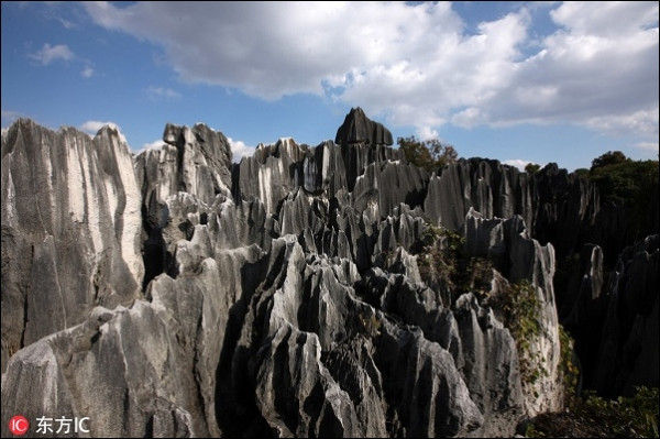 Stiahni si Dokument Čínský kamenný les (2017)(CZ)[TvRip][1080p] = CSFD 86%