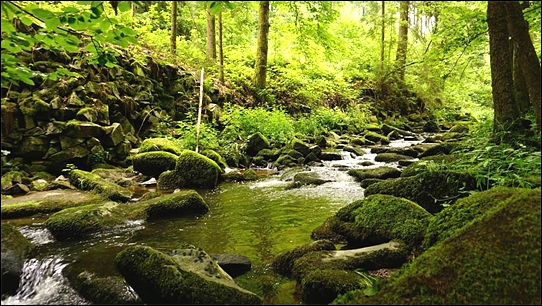Stiahni si Dokument Tajemství lesního potoka / Der Bach (2018)(CZ)[TvRip][1080p] = CSFD 92%