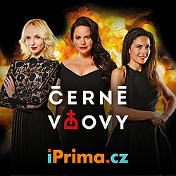 Stiahni si Seriál Černé vdovy 1 série (2019) [720x400p] ČSFD 48%