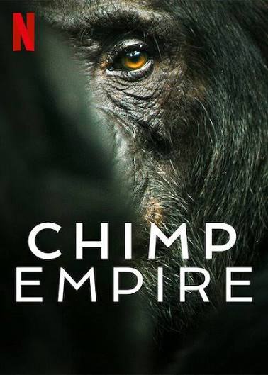 Stiahni si Dokument Šimpanzí říše / Chimp Empire E1-E4 CZ (2023) [1080p]