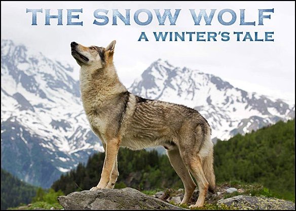 Stiahni si Dokument Sněžná vlčice: Zimní příběh / The Snow Wolf: A Winter's Tale (2018)(CZ)[TvRip][1080p] = CSFD 92%