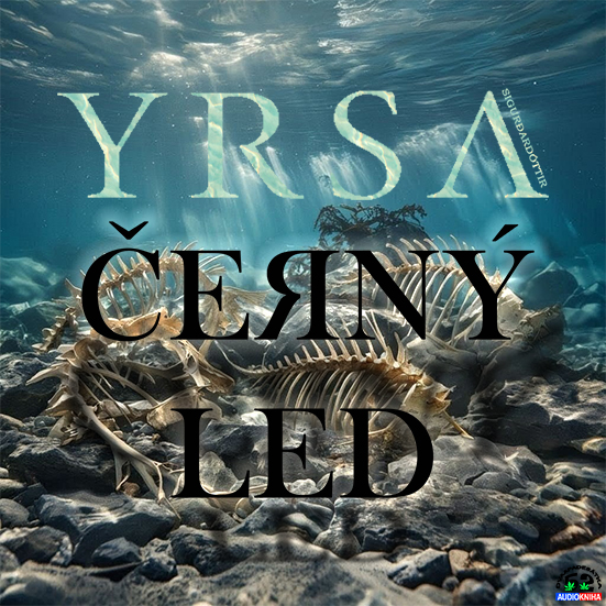 Stiahni si Mluvené slovo Yrsa Sigurðardóttir - série Černý led (2023-2025)