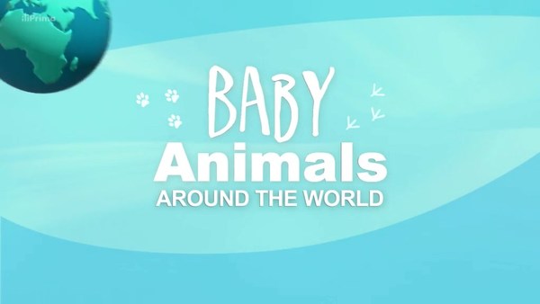 Stiahni si Dokument Mladata celeho sveta /  Baby Animals Around the World (CZ)(2016)[WebRip]