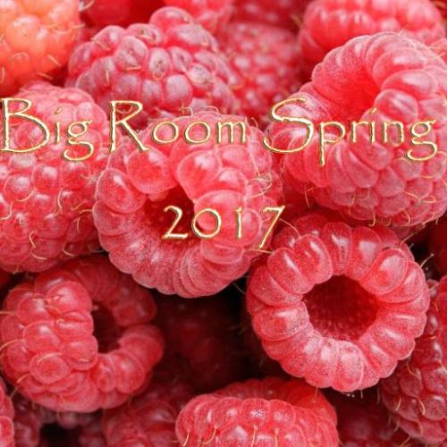 Stiahni si Hudba VA_-_Big_Room_Spring_2017-(OH_144)-WEB-2017