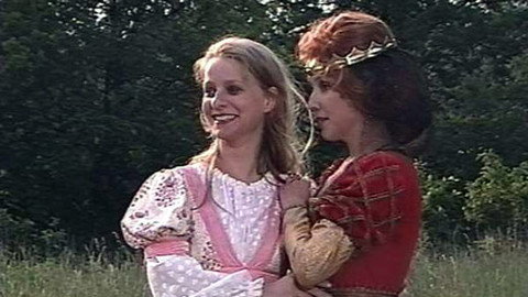 Stiahni si Filmy CZ/SK dabing Dvojčata (1988) -1080p  = CSFD 42%