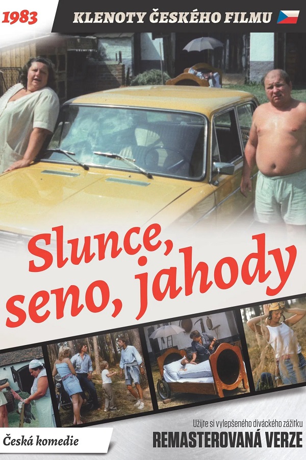Stiahni si Filmy CZ/SK dabing Slunce, seno, jahody (1984)(CZ)[1080p][HEVC] = CSFD 69%