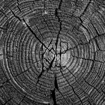 Stiahni si Hudba Kolp - Cured but Not Healed (2017)