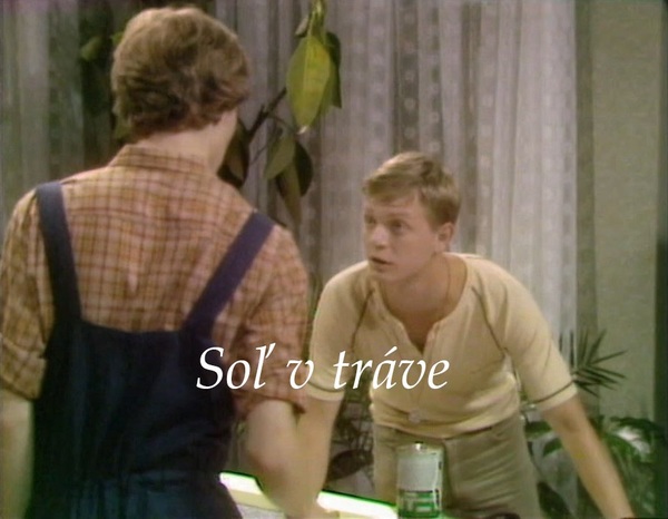 Stiahni si Filmy CZ/SK dabing Soľ v tráve (1987)(SK)[720p][TvRip][HEVC] = CSFD 48%