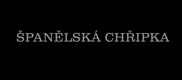 Stiahni si Dokument Španielska chrípka / Chrípka, ktorá zabila 50 miliónov / The Flu That Killed 50 Million (2021)(SK)[Tvrip] = CSFD 72%