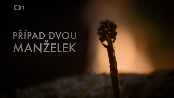 Stiahni si Filmy CZ/SK dabing Pripad dvou manzelek (2019)(CZ)[TvRip][1080p] = CSFD 62%
