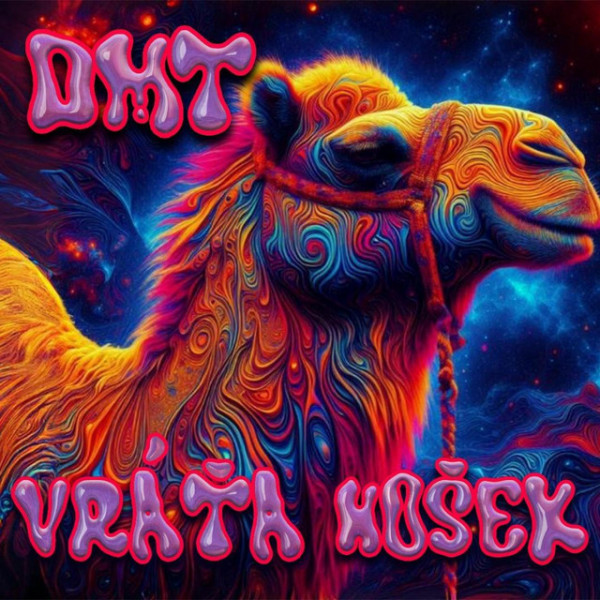 Stiahni si Hudba Vráťa Hošek - DMT (Single) (2024)