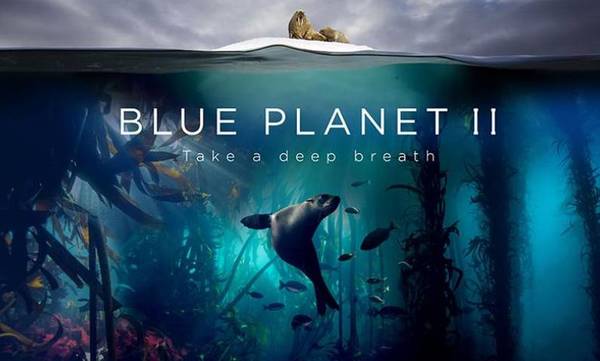 Stiahni si Dokument The Blue Planet 2 (2017)[BluRay.REMUX][4K HDR] = CSFD 96%