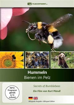 Stiahni si Dokument Tajemný život čmeláků / Universum: Hummeln - Bienen im Pelz (2013)[CZE][1280x720][TVrip] = CSFD 85%