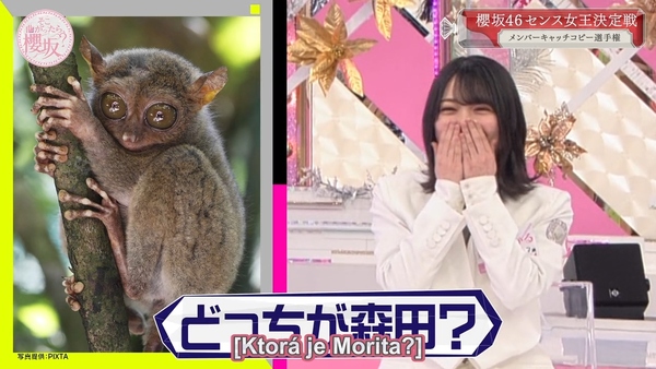 Stiahni si TV Pořad Soko Magattara, Sakurazaka E15 (2021)(JP+SKtit.)[720p][TVrip]