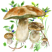 Stiahni si Mobil, PDA [Android] Mushrooms v72