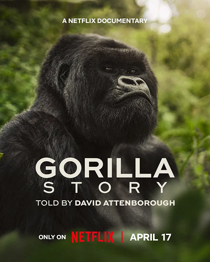 Stiahni si Dokument  David Attenborough: Gorilí příběh / A Gorilla Story: Told by David Attenborough (2026)(CZ/EN)[WEB-DL][2160p][DV/HDR] = CSFD 90%