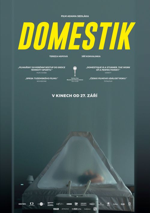 Stiahni si Filmy CZ/SK dabing Domestik (2018)(CZ)[WebRip][720p] = CSFD 68%