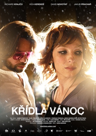 Stiahni si Filmy CZ/SK dabing Kridla Vanoc (2013)(CZ) = CSFD 65%