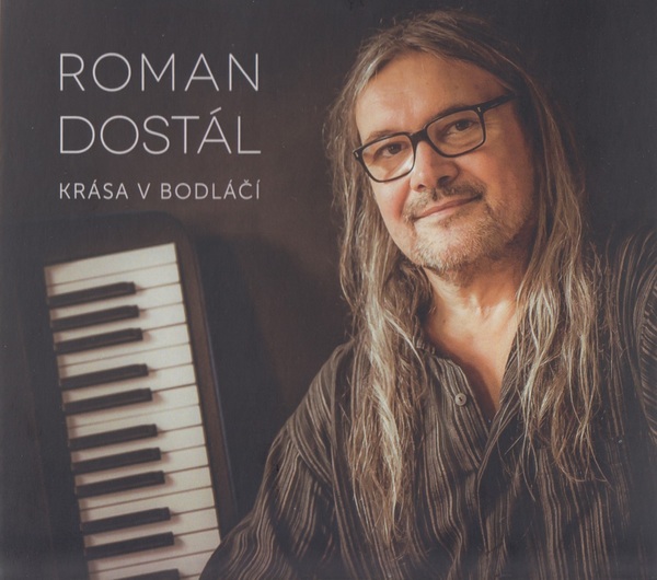 Stiahni si Hudba Roman Dostal - Krasa v bodlaci (2020)[MP3.CBR.320]