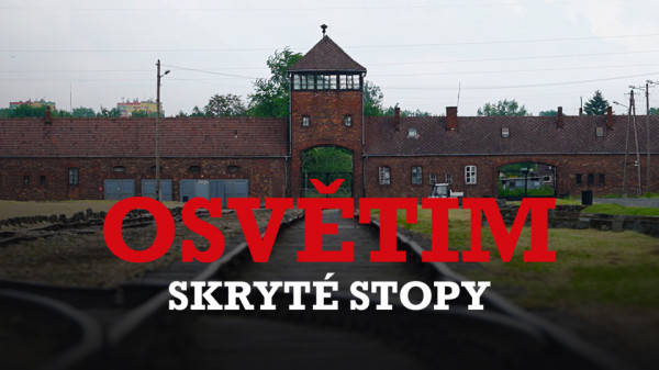 Stiahni si Dokument  Osvětim: Skryté stopy / Auschwitz, la machine de mort nazie (2021)(CZ)[WEB-DL][1080p]  = CSFD 84%