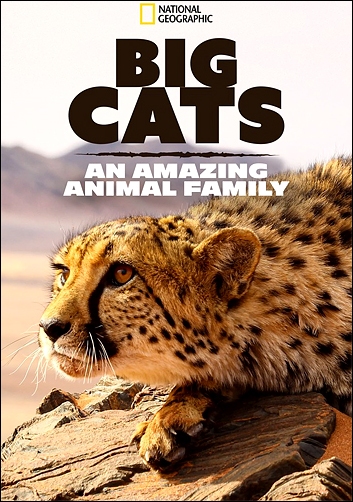 Stiahni si Dokument Velké kočky: Úžasná zvířecí rodina / Big Cats: An Amazing Animal Family (2015)(CZ)[TvRip][1080p] = CSFD 70%