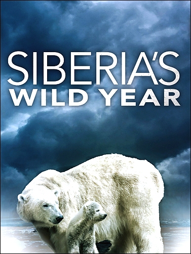 Stiahni si Dokument Rok v sibiřské divočině / Siberia's Wild Year (2017)(CZ)[TvRip][1080p] = CSFD 73%