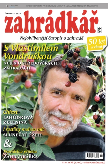 Stiahni si Knihy a Časopisy Zahradkar (11/2018)