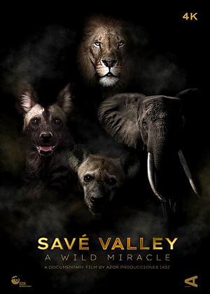 Stiahni si Dokument Savé Valley: Zázrak divočiny / Savé Valley  A Wild Miracle (2024)(CZ)[TvRip][1080p] = CSFD 50%