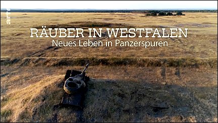 Stiahni si Dokument Skrytá příroda vojenských prostorů / Abenteuer Erde: In der Spur der Leoparden - geheimnisvolle Räuber in Westfalen (2019)(CZ)[TvRip][1080p] = CSFD 50%