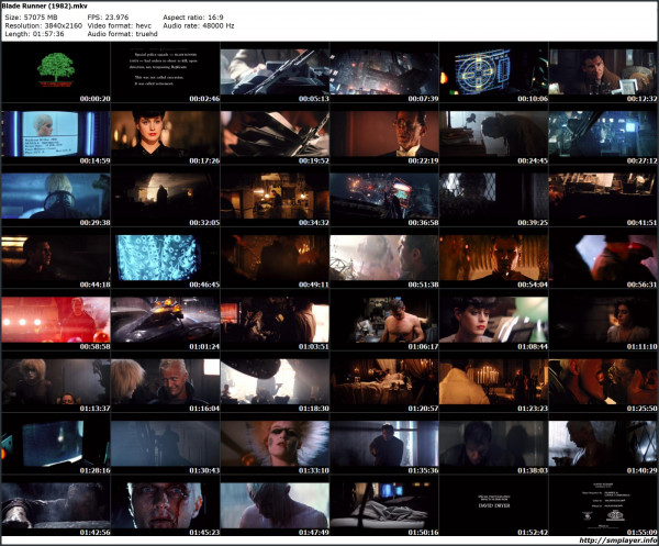 Stiahni si Filmy CZ/SK dabing Blade Runner (1982) Color Corrected 2160p SDR 10-bit x265 14x Audio = CSFD 77%