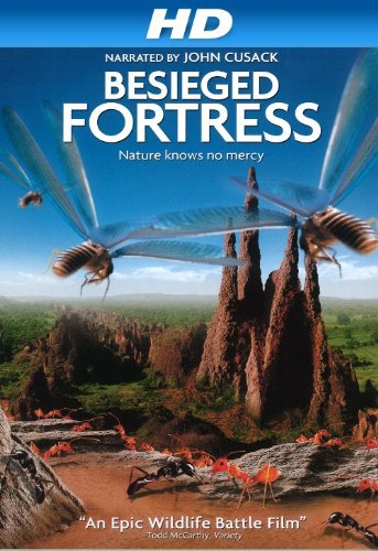 Stiahni si Dokument Valka termitu / La Citadelle assiegee (2006)(CZ) = CSFD 84%